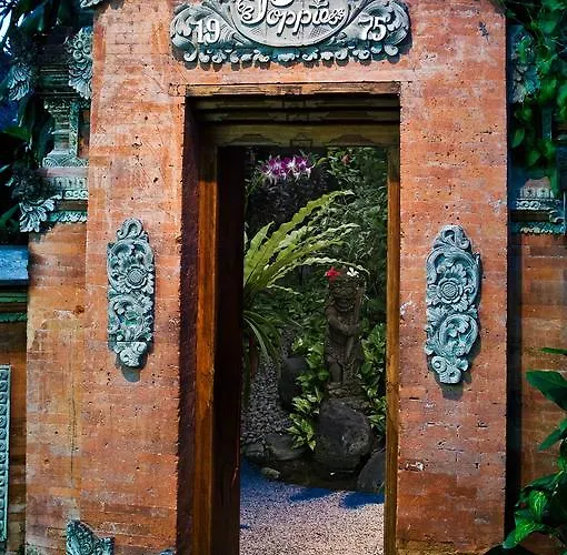 Poppies Bali