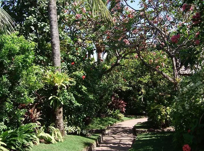 Poppies Bali Otel Kuta Lombok